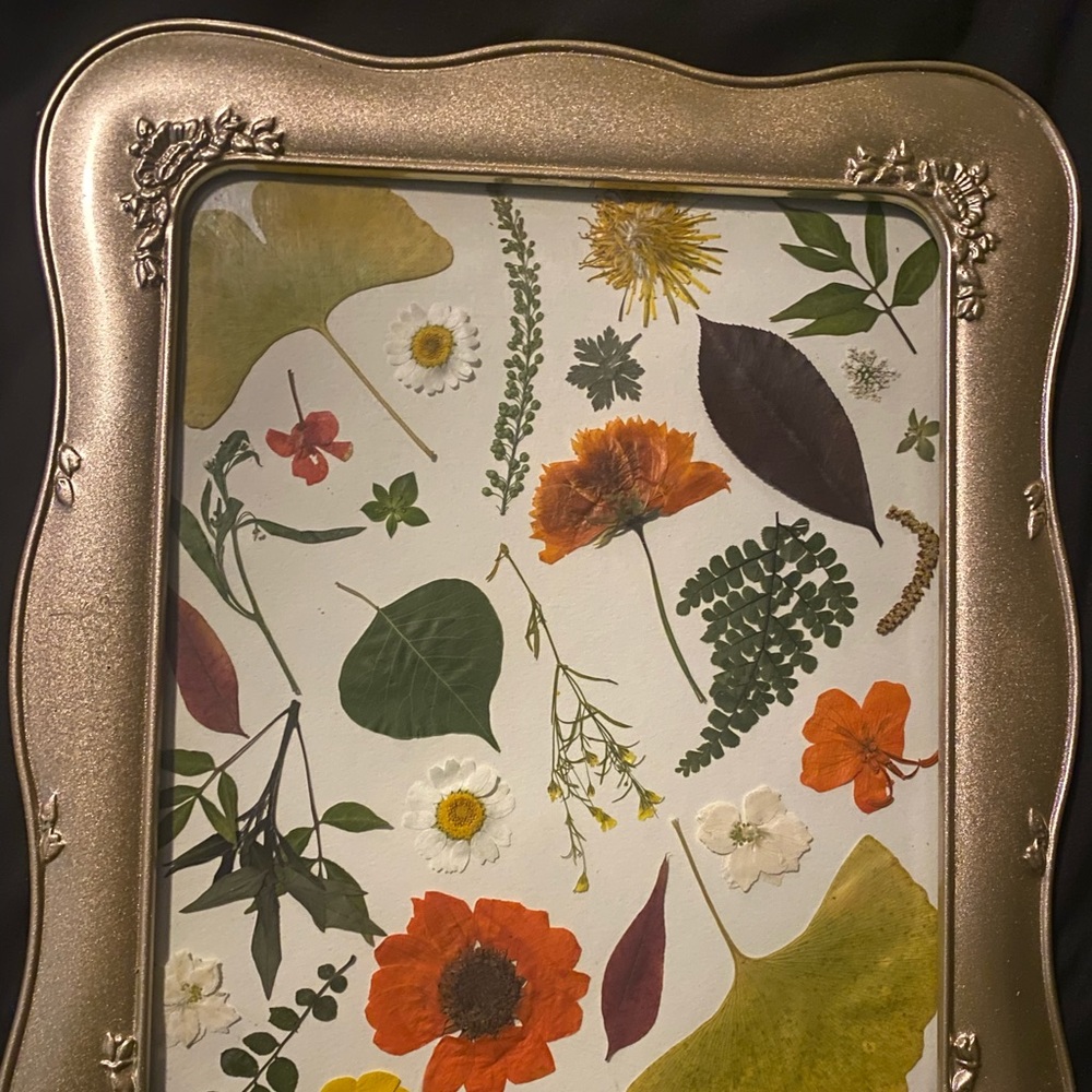 Pressed flower art